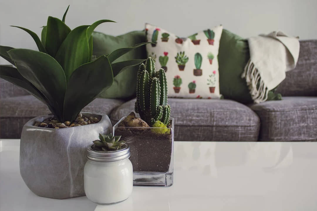 Transforming Your Space: How to Blend Mall Finds with Online Home Goods for a Unique Look